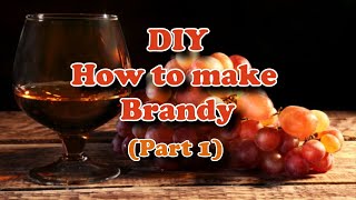 DIY How to make Brandy Part 1 [upl. by Sternick]