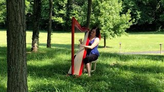 Introducing the Brilliant Harpsicle Harp [upl. by Clo286]