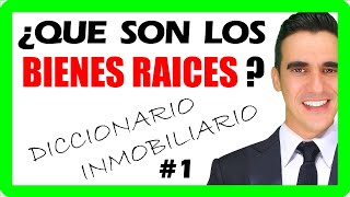 ¿Qué son BIENES RAICES o BIENES INMUEBLES definicion [upl. by Odraccir]