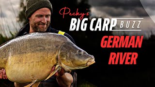 Peckys Big Carp Buzz  German River Carp Fishing [upl. by Gordon369]