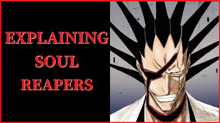 Soul Reapers Explained Bleach [upl. by Idden]