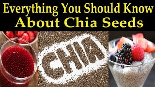 Everything You Should Know About Chia Seeds  Dr Alan Mandell DC [upl. by Garrett7]