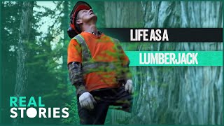 The Hidden Dangers Of Being A Lumberjack Extreme Logging [upl. by Ahsatniuq979]