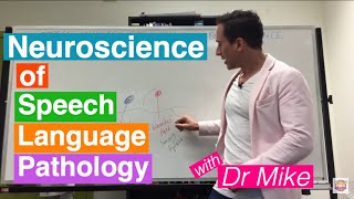 Neuroscience of Speech Language Pathology SLP [upl. by Psyche]