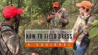 How To Field Dress a Squirrel [upl. by Zaraf]