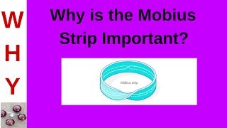 Relevance of the Mobius Strip [upl. by Douglass]