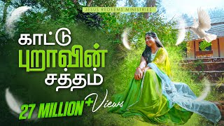 காட்டு புறாவின் சத்தம்  Kaatupuravin Saththam  4K  New Christian Song  Jesus Redeems [upl. by Ojyma]