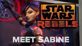 Meet Sabine the Explosive Artist  Star Wars Rebels [upl. by Ignatzia]