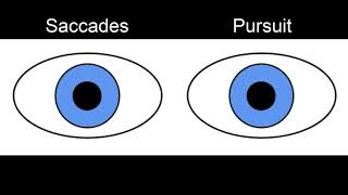 RS Supranuclear Ocular Motor Pathways Part 1  Horizontal Saccades [upl. by Hadihahs]