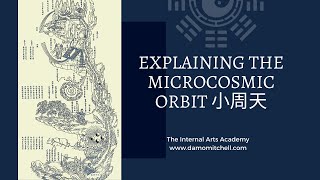 Microcosmic Orbit 小周天 Free InDepth Training with Damo Mitchell [upl. by Atteuqnas]