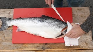 How To FILET a WHOLE SALMON   Easy to do [upl. by Eng463]