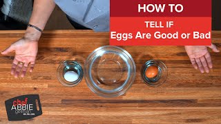 Egg Freshness Test How to Tell If Eggs Are Good or Bad QampA [upl. by Glad817]