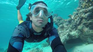 Snorkeling FIJI world class coral reefs [upl. by Jp935]