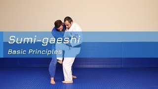 Sumigaeshi  Basic principles [upl. by Krik]