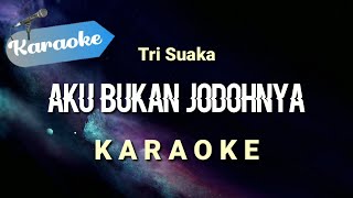 Karaoke Aku bukan jodohnya  Aku titipkan dia Tri Suaka  Karaoke [upl. by Eniawed653]