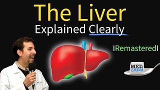 Liver Explained Function Pathology Diseases amp Cirrhosis [upl. by Lezlie]