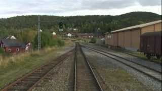 Cab Ride Norway  Trondheim  Bodø fall Nordland Line [upl. by Eetnom]