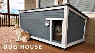 DIY Insulated Dog House Build [upl. by Kwapong]