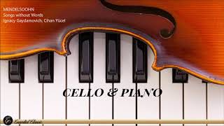 Cello amp Piano Duet  The Best of Classical Music [upl. by Robb303]