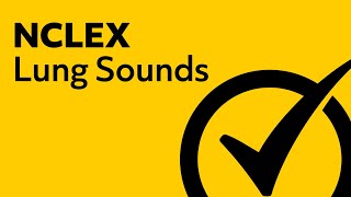 Lung Sounds  NCLEX Review [upl. by Nnaycart747]