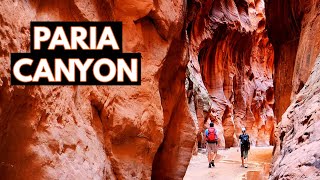 The Entire Paria Canyon to Buckskin Gulch 15 Miles Hiking [upl. by Seraphina]