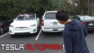 Tesla Self Parking  Say Goodbye to Parallelophobia [upl. by Dewar139]