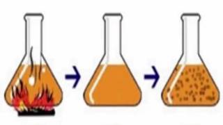 Experimentos de needham e spallanzani [upl. by Kristien]