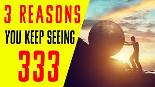 3 Reasons Why You Keep Seeing 333  Angel Number 333 Meaning [upl. by Aisset]