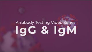 Antibody Testing IgG and IgM explained [upl. by Eslek638]