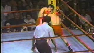 19770423  Carlos Zarate vs Alfonso Zamora  USA TV [upl. by Goldy850]