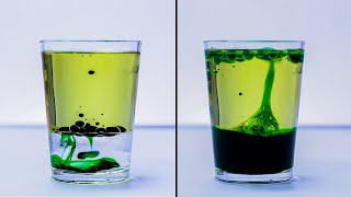 EASY SCIENCE EXPERIMENTS THAT WILL AMAZE KIDS [upl. by Atteras]