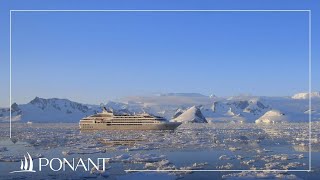 Our cruises in Antarctica  PONANT [upl. by Shelman]