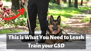 How to Leash Train a German Shepherd Dog [upl. by Zimmer]