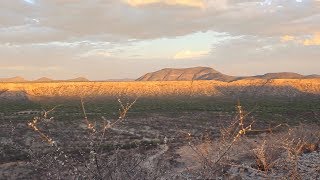 Ecosystems and drought [upl. by Arodoet]