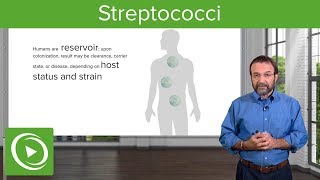 Streptococci – Microbiology  Lecturio [upl. by Ahsinnek423]