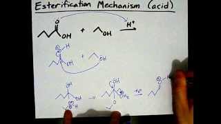 How to Make Esters Mechanism [upl. by Marelda430]