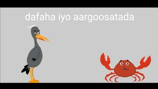 sheeko caruureed sheekadii dafaha iyo aargoosatada cartoon af somali [upl. by Yecad]