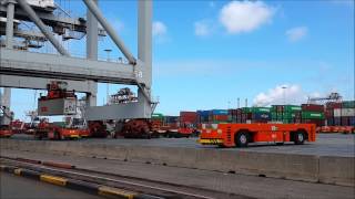 Container terminal Rotterdam [upl. by Roselba12]