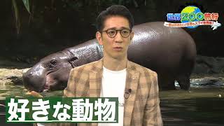 アンタッチャブル柴田「圧倒的にカバ！」【世界ＺＯＯ旅行】 [upl. by Asiulana461]