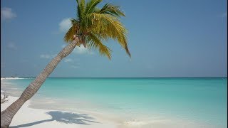 Best Beaches in Cuba YOUR Top 10 best Cuba beaches [upl. by Grizelda722]