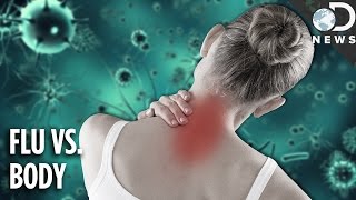 Why The Flu Causes Aches amp Pains [upl. by Navillus]