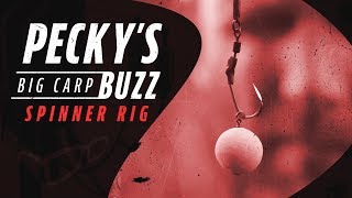 Darrell Peck Spinner Rig  Pecky’s Big Carp Buzz [upl. by Brottman591]