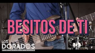 Los Dorados  Besitos De Ti En Vivo [upl. by Eelsel]