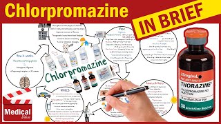 Chlorpromazine Hydrochloride  Thorazine  What is Chlorpromazine Uses Dosage amp Side Effects [upl. by Llerrehs]