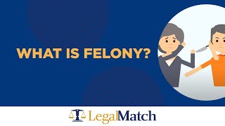 What is a Felony [upl. by Nalim]