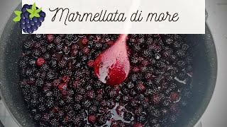 Marmellata di more SELVATICHE senza semi ricetta salutista [upl. by Ilka]