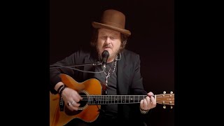 Zucchero  Come Il Sole AllImprovviso Live Acoustic [upl. by Nytsirk]