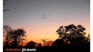 Zimbabwe Music Mix  Jit [upl. by Anaeerb]