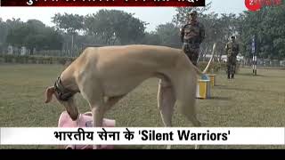 First Time Ever Indian breed dogs become part of Indian Army [upl. by Arde]