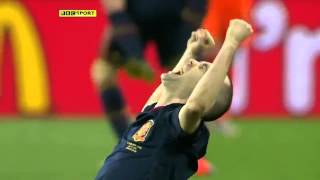 Iniesta goal in World Cup final HD [upl. by Lasonde]